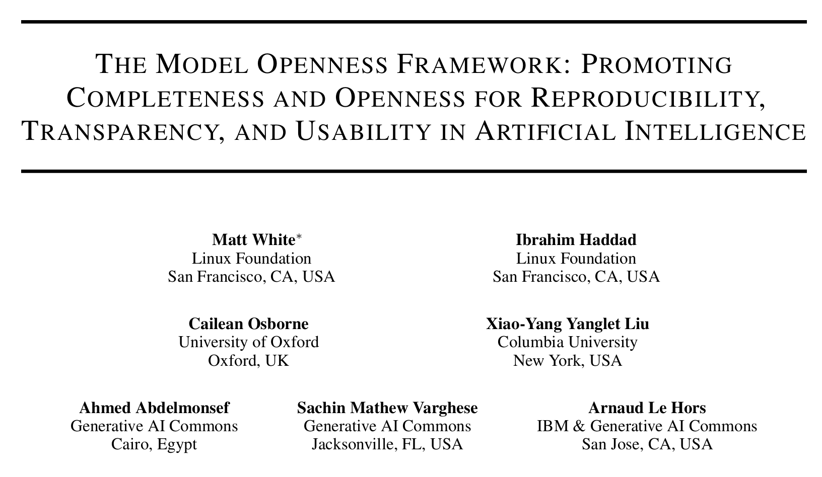 h:400px Model Openess Framework
